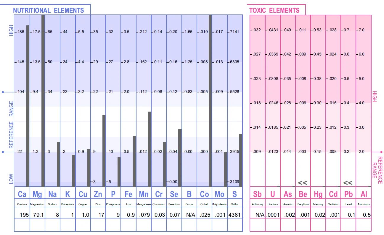 Partial example HTMA report showing nutritional and toxic element levels charted against reference ranges